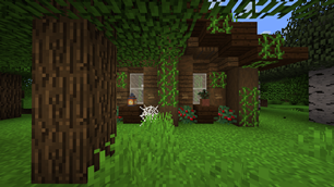 Abandoned Cabin