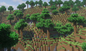 forest
