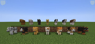 image-attachment_093ef9f1-78c9-465d-8e33-e8f3a802c131.png