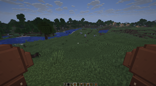 First Person View