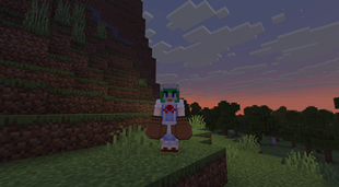 Third Person View