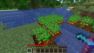Harvest – crops reaped and replanted