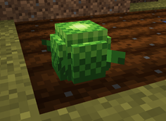 Screenshot 2026-10-16 210006.png
