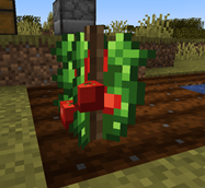 Screenshot 2026-10-16 210027.png