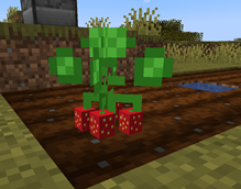 Screenshot 2026-10-16 210114.png