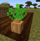 Screenshot 2026-10-16 210148.png