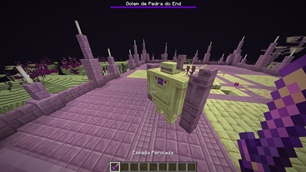 Endstone Golem + Pearlescent Sword
