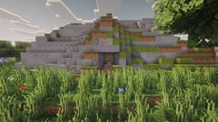 The wilds