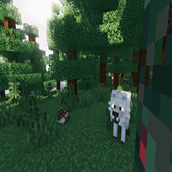 Wolf.png