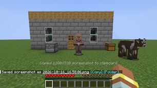 02-copied-message-and-saved-line.png