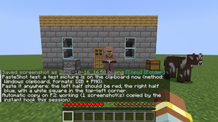 04-pasteshot-test-command.png