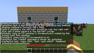 05-pasteshot-status-command.png