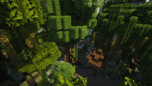 A new forest, with shaders