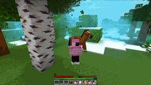 Video Project 5.gif