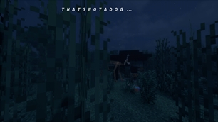 T H A T S N O T A D O G