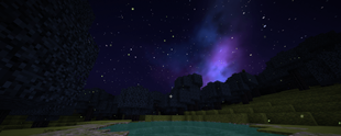 starlit-grove.png