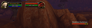 02-unit-frames-nameplate.png