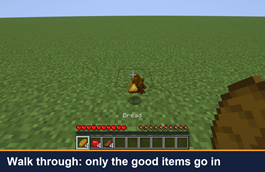 Walk through: only the good items go in