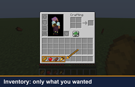 Inventory: only what you wanted