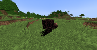 crawler