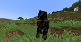 creeper
