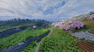 showcase-10.jpg