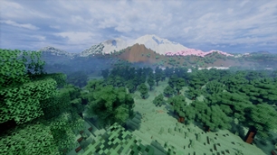 showcase-13.jpg