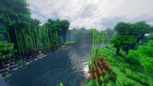 showcase-14.jpg