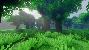 showcase-15.jpg