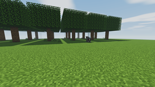 BALANCED-forest.png
