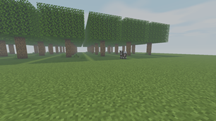 BALANCED-forest.png
