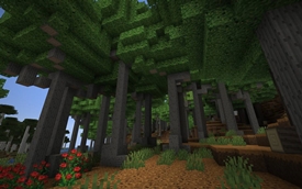 Beechen Hanger Biome with Beech Trees