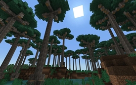 Elder Kauri Stand Biome with Kauri Trees