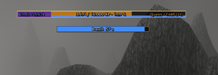 Xp Bar