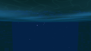 BALANCED-underwater.png