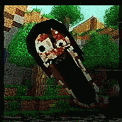 IMG_2475.gif
