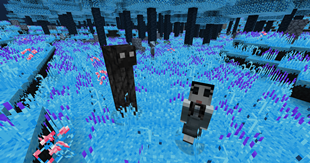 Creepypasta within the Aurorian world.png