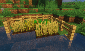 Protected Wheat