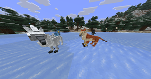 Gryph-Hounds