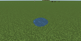 Puddle.png