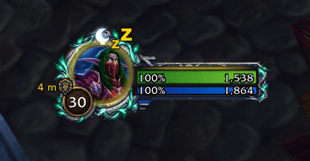 Nelf Humanoid (Druid)