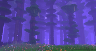 2026-10-17_23.48.24_2.png