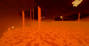 Nether
