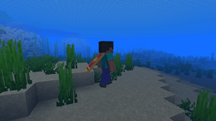 05-underwater.png