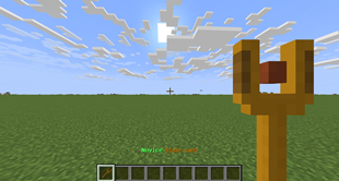 pov.png
