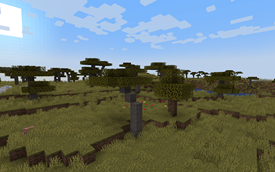 An Acacia Overhaul with Bark Ends!