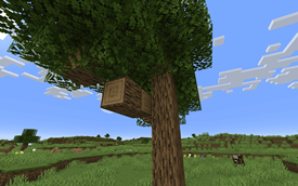A (Not So) Great Oak With Log Ends...