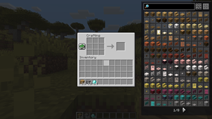 The item list