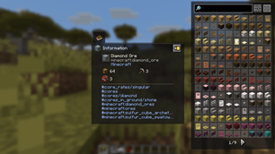 Item information