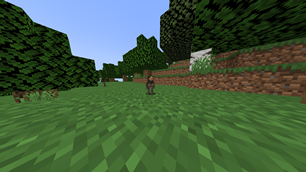 Acorn Person